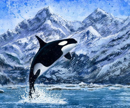Killer whale jumping out of water in front of snowy mountains in lake