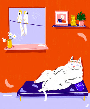 Orange wall canvas with white cat and two birds in window 