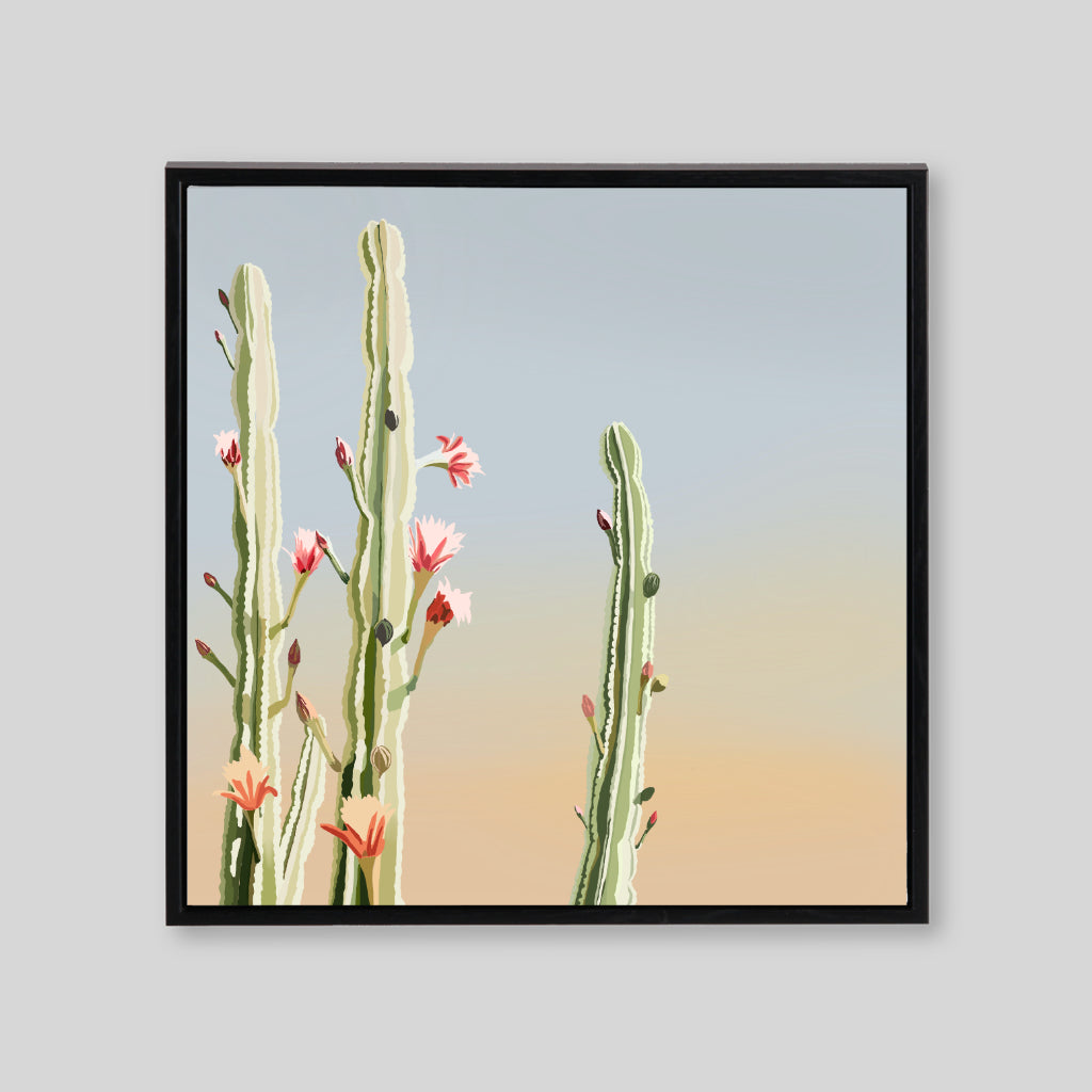 Three cacti on light blue to peach gradient background